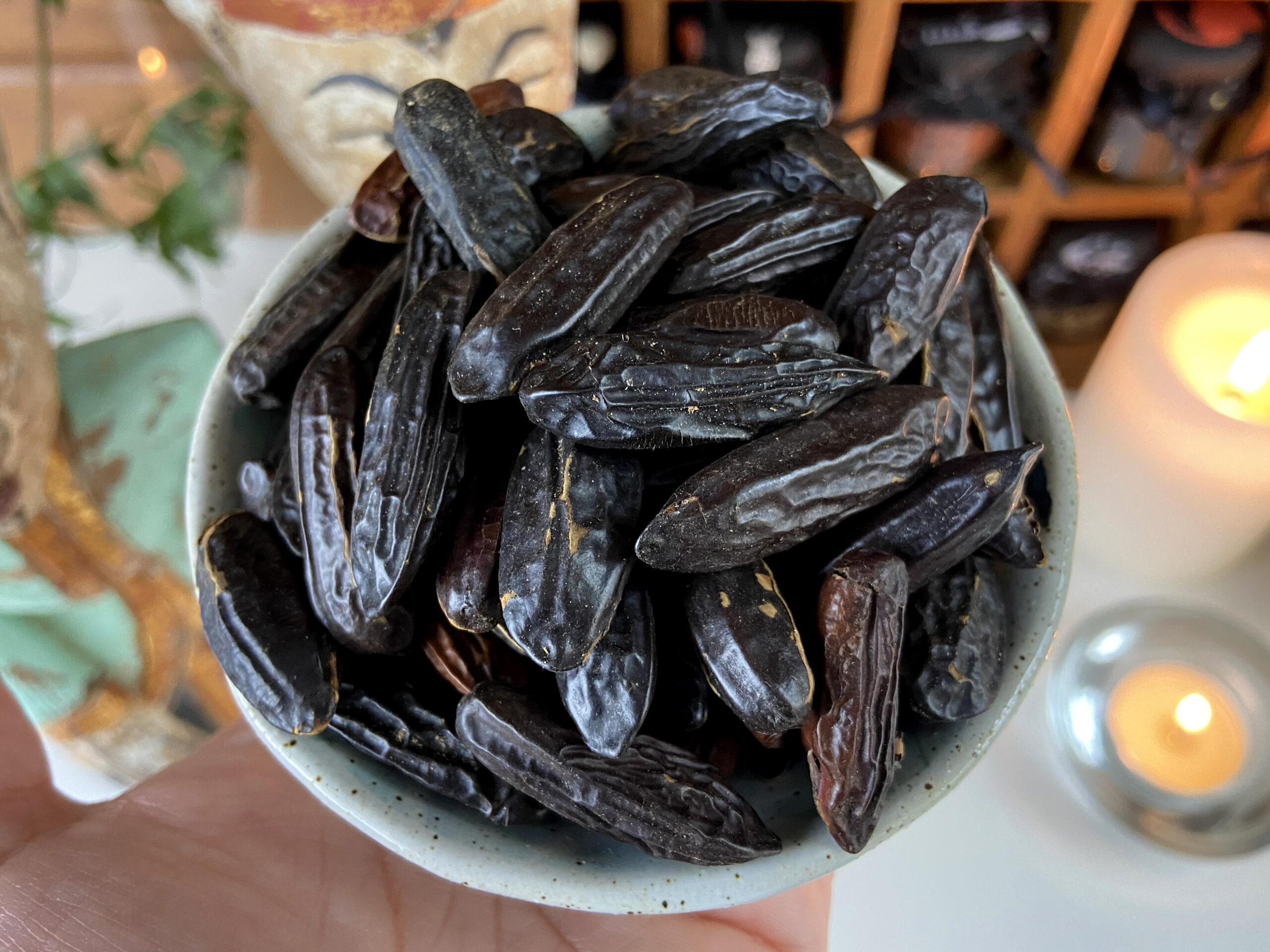 Fava Tonka Beans • Além de Salém