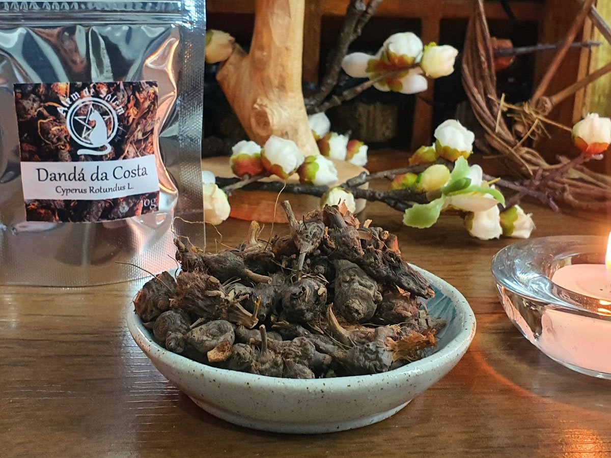 Dandá da Costa • Além de Salém Dandá da Costa • Além de Salém