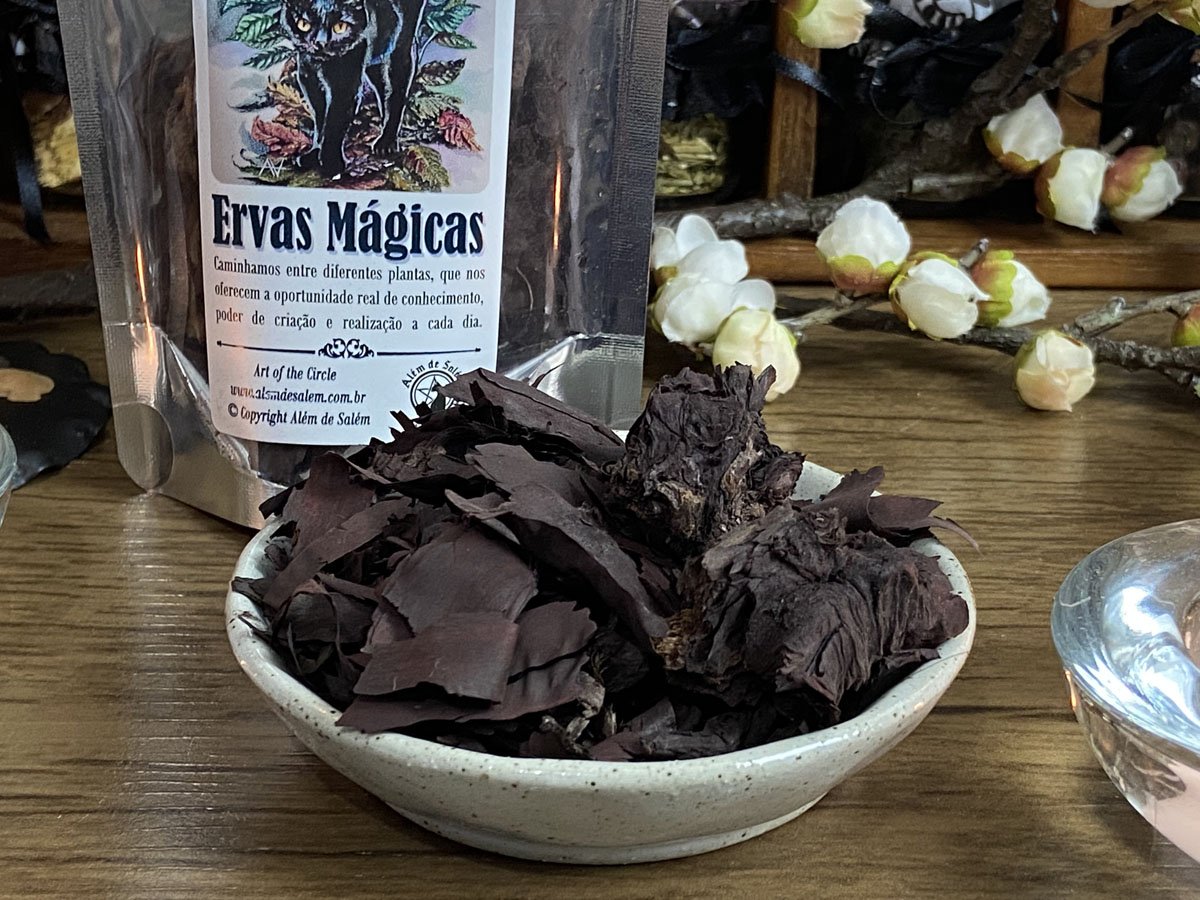 Root Importada • Além de Salém