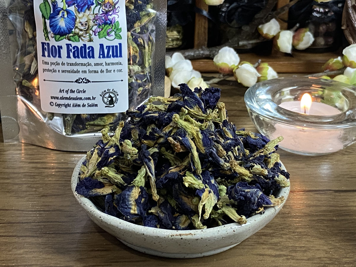 Flor de Fada Azul in Natura Clitoria Ternatea • Além de Salém