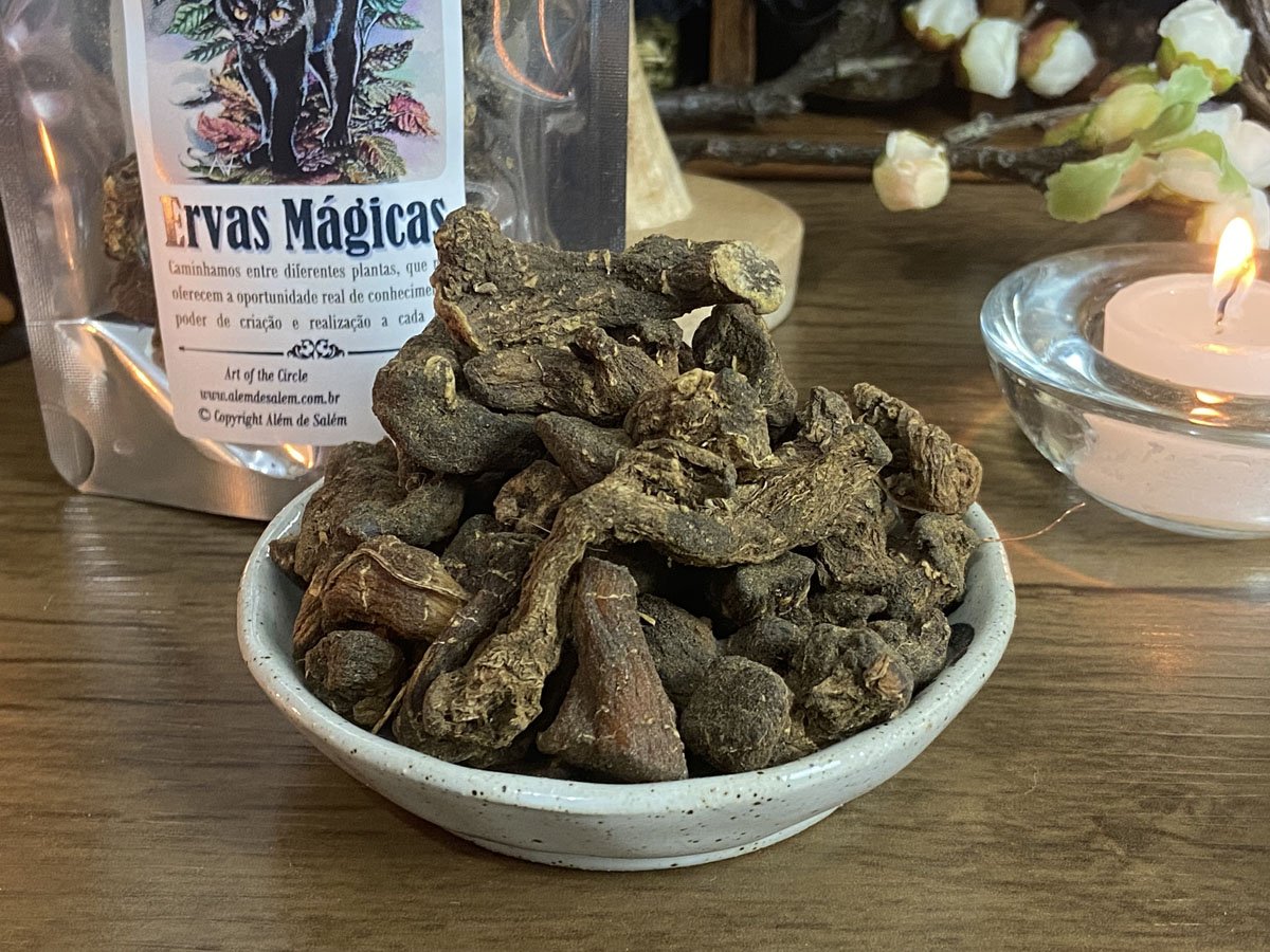 Selo de Salomão Solomon's Seal Root • Além de Salém