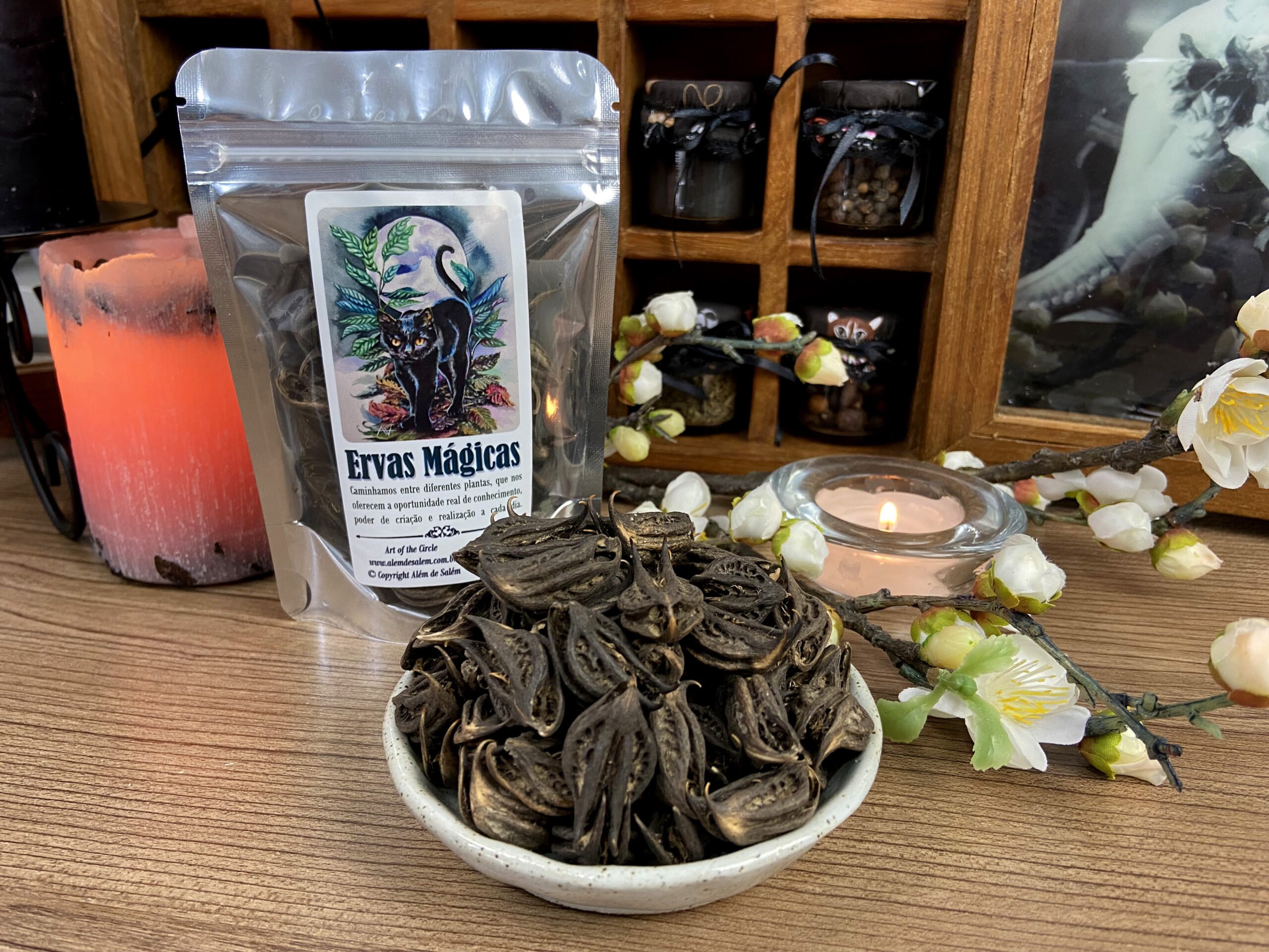 Bat Head Root • Além de Salém