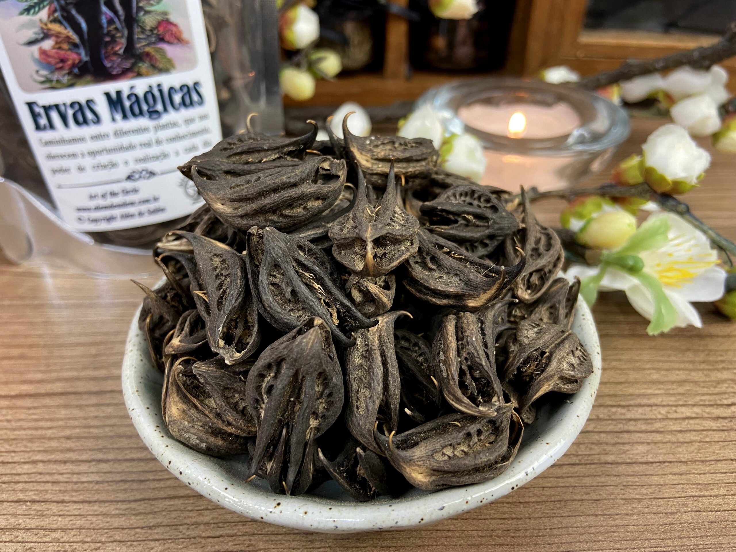 Bat Head Root • Além de Salém